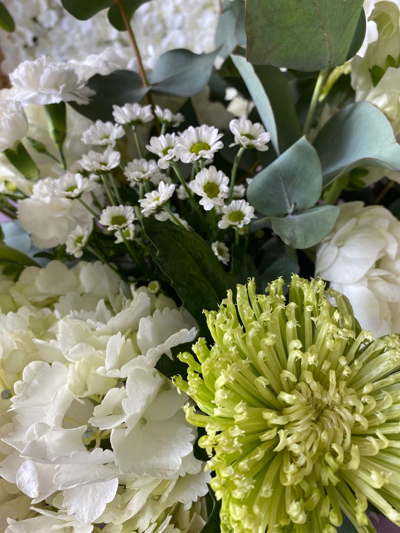 Posy of Fresh Flowers