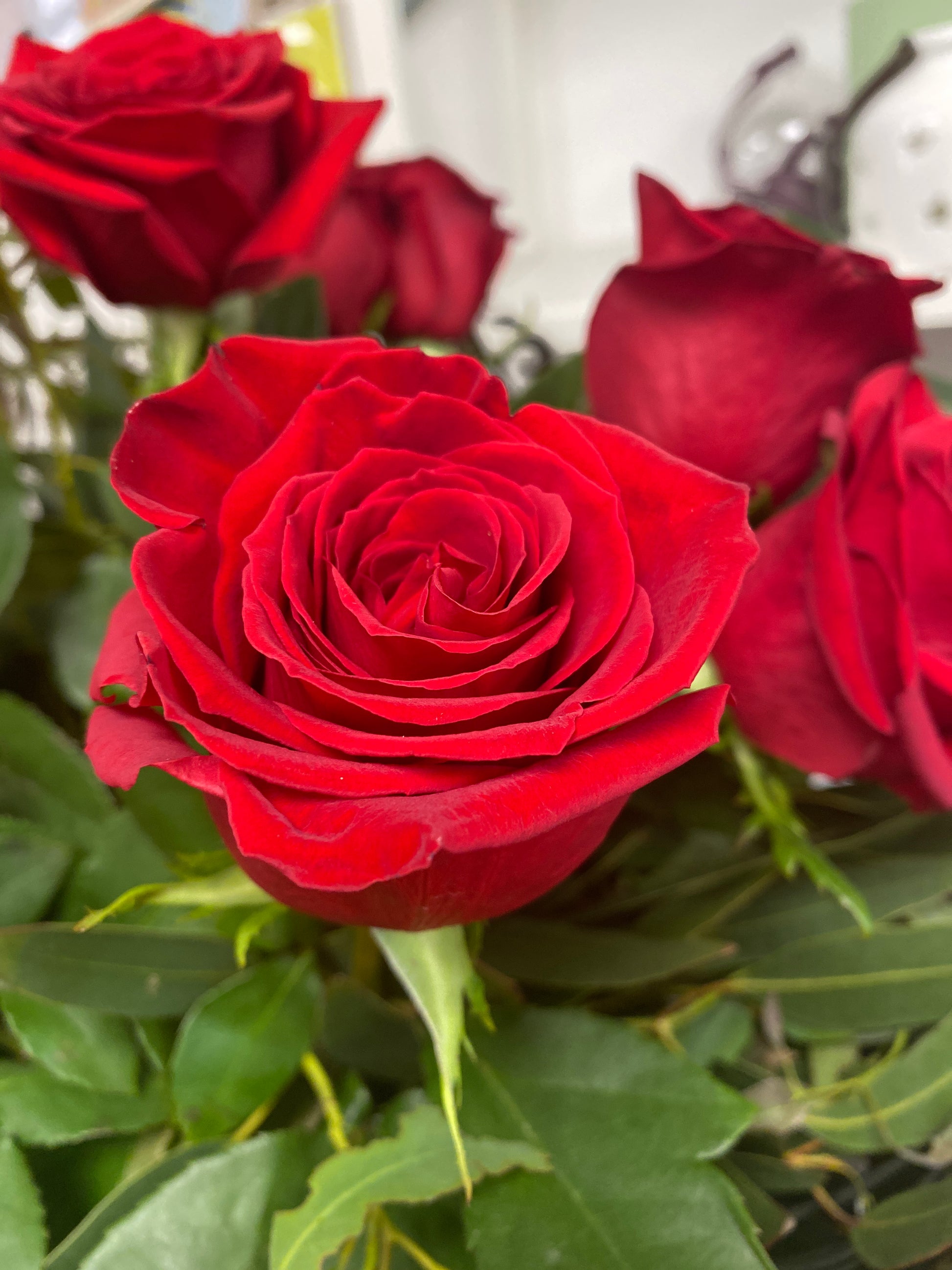 Red Roses in a bouquet