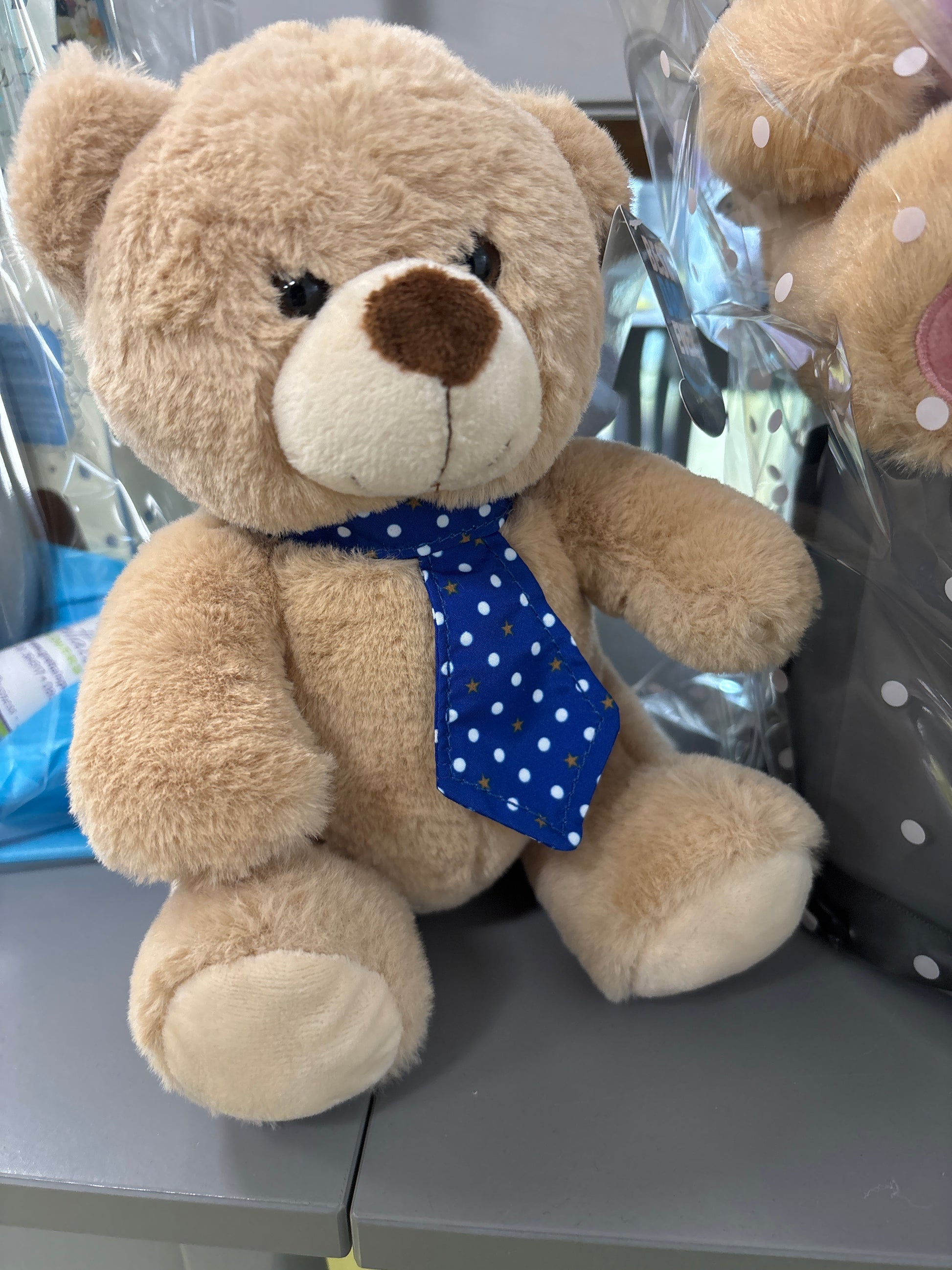 The Best Dad Ever Teddy bear