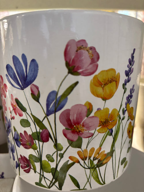 (2026) Limited Edition Mother’s Day Pot of Fresh Flowers